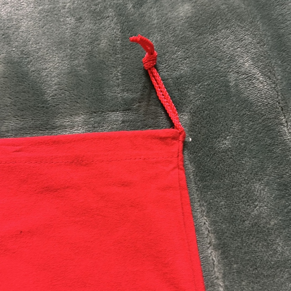 New Bally Dust Bag With Draw String - image 4